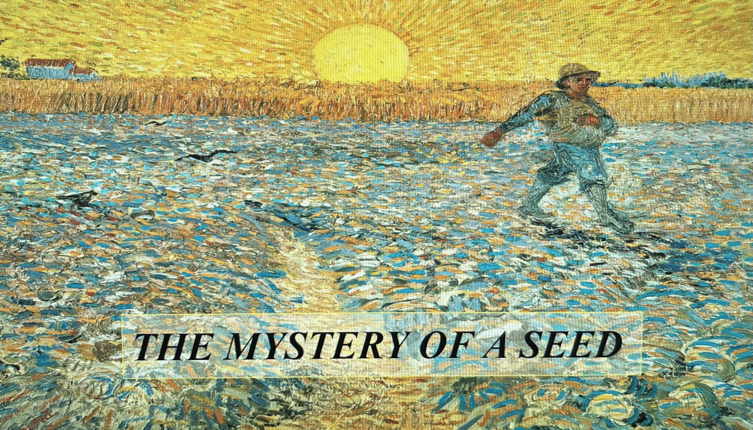 The Mystery of A Seed
